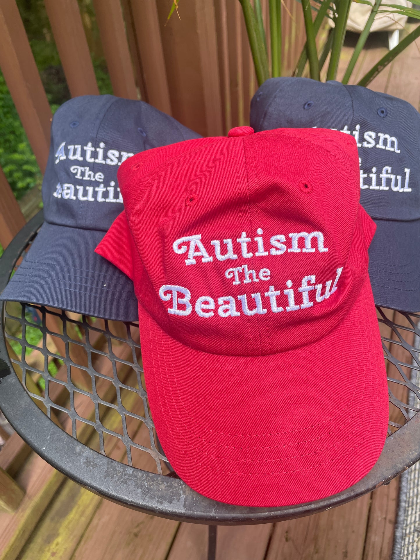 The Noah- Autism The Beautiful