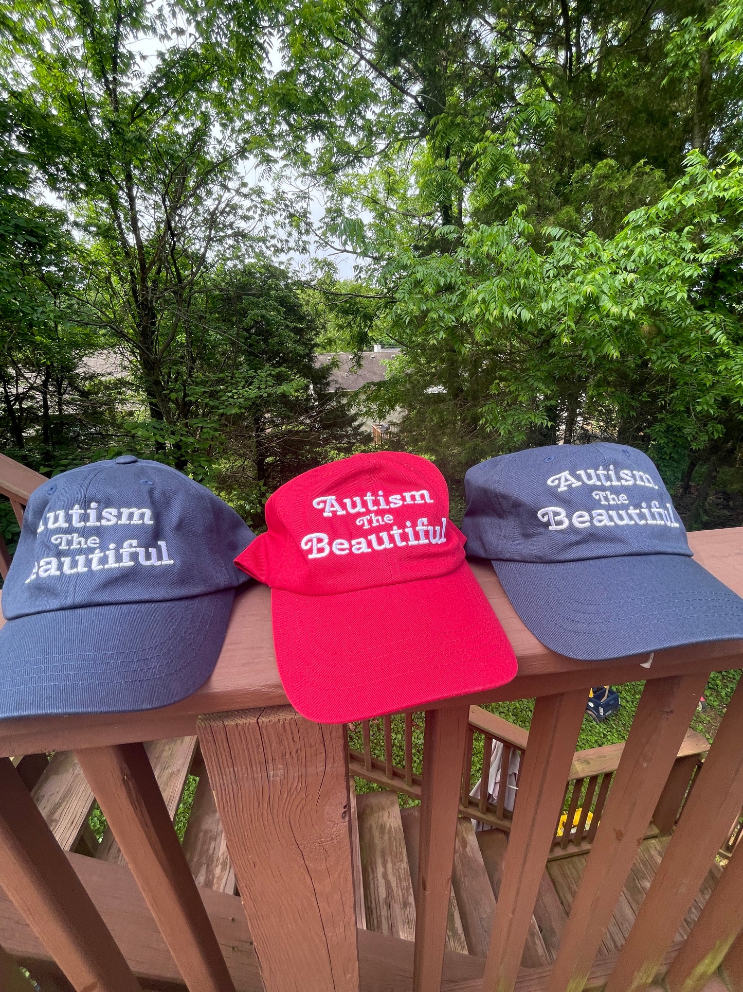 The Finley- Autism The Beautiful