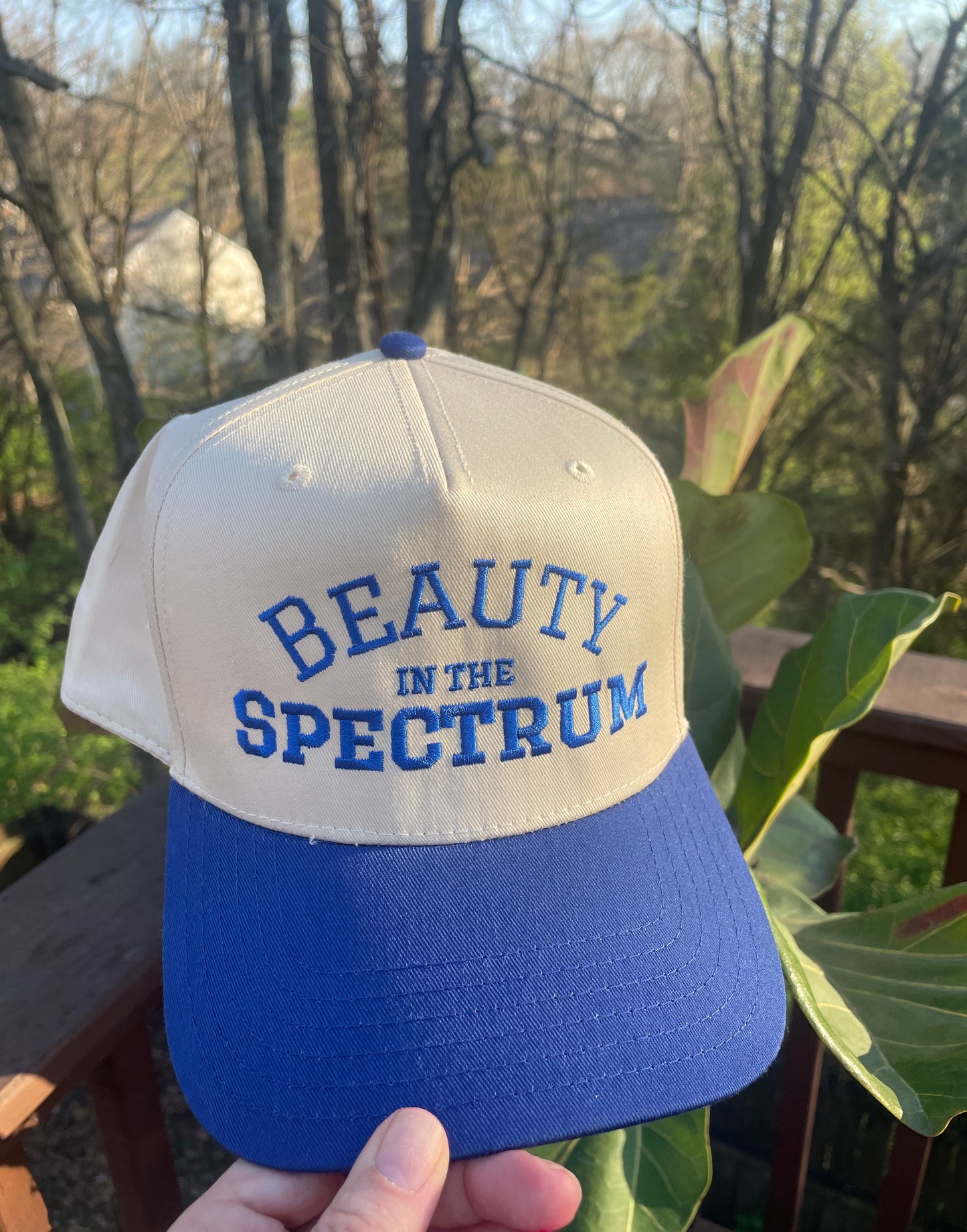The Brooks Cap